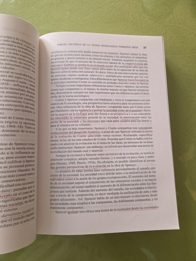 Teoría Sociológica Clásica. George Ritzer.