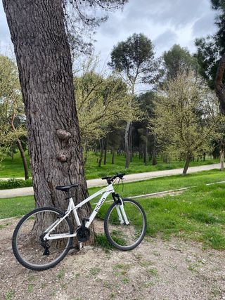 Bicicleta montaña BH