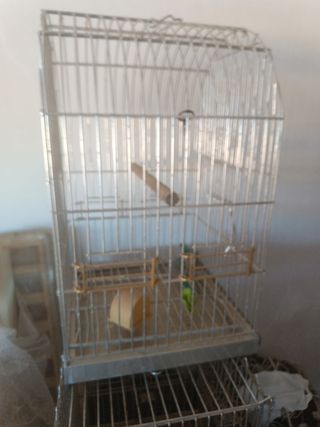 Jaula pájaros metalica