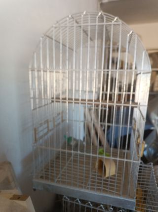 Jaula pájaros metalica