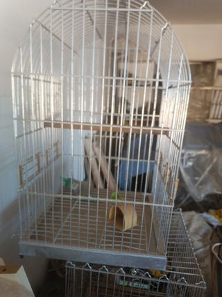 Jaula pájaros metalica