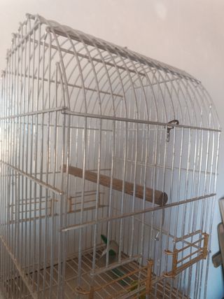 Jaula pájaros metalica
