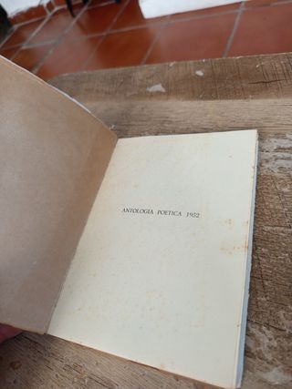 Antología Poética (Ediciones Rumbos)
