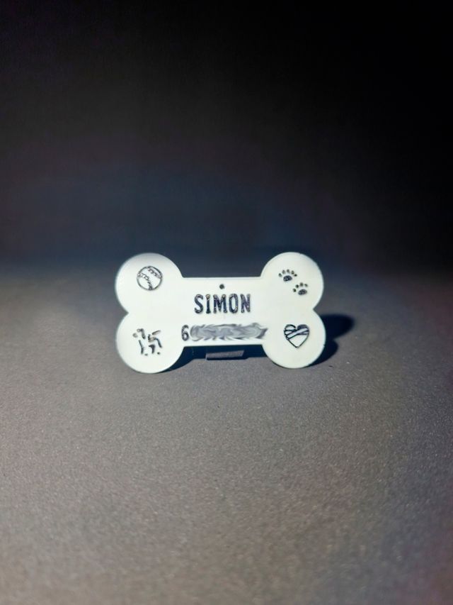 Chapa personalizada mascota