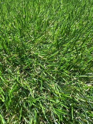 Cesped artificial 25mm modelo Opalo