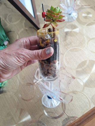 2 Suculentas en Mini-macetas. Cada suculenta 8