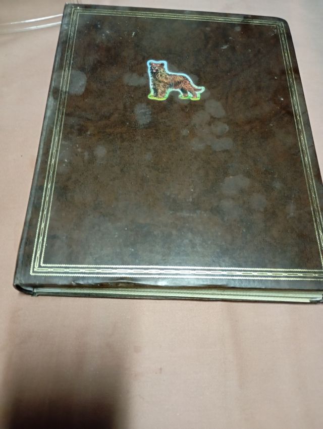 Cupones de Lotería antiguos