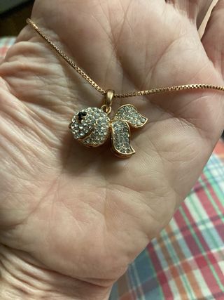 Collana con ciondolo a forma di pesciolino 