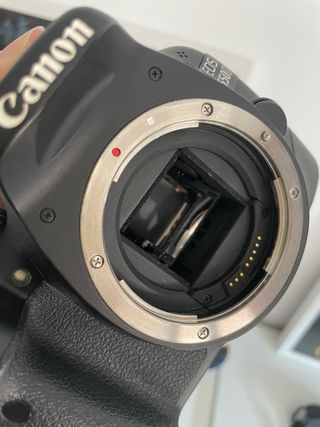 Canon EOS 550D - Cámara Réflex