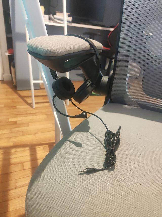 Cuffie Microfono Home Office