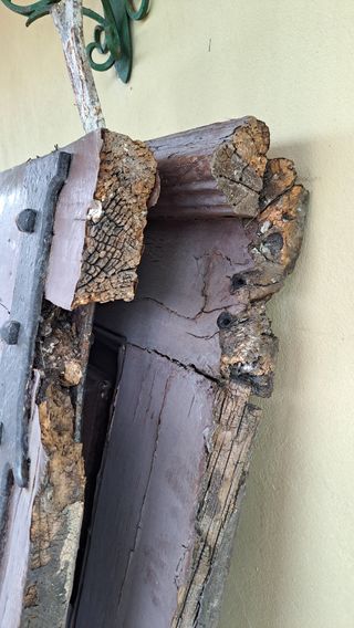 Portão madeira maciça antigo