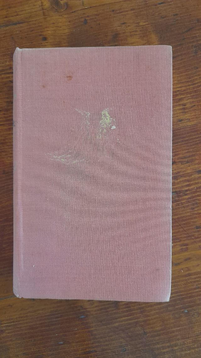 Tolldreiste Geschichten