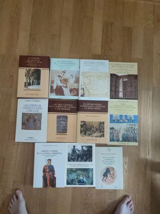 Libros sobre historia de Castilla y León 