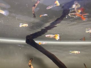 acuario en buen estado