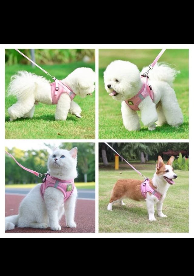 Arnés Rosa - LOVE HAS SUPPORT