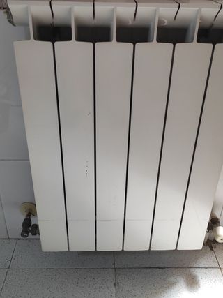 Radiador blanco de metal 6 elementos