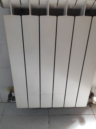 Radiador blanco de metal 6 elementos