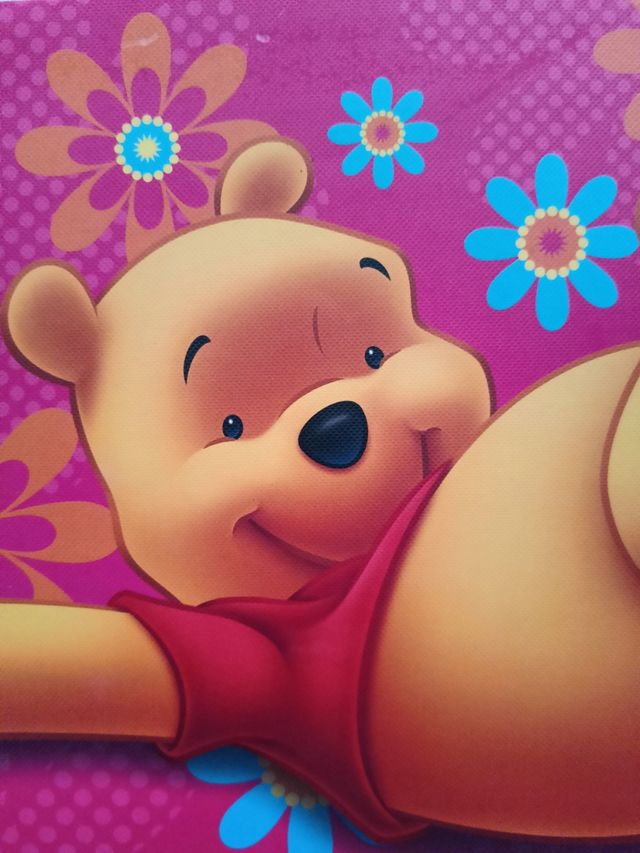 Quadretti Winnie the Pooh Disney