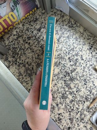 La Funesta Finestra / the Wide Window (Una Seri...