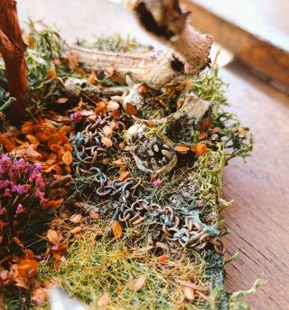 Diorama Warhammer: Héroe caído