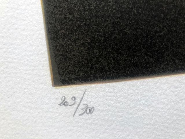 Dalí - La Apoteosis de Homero