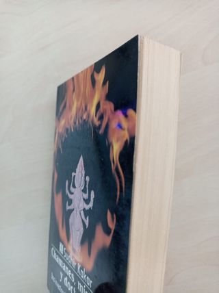 CHAMANES, MÍSTICOS Y DOCTORES SUDHIR KAKAR