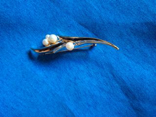 Elegante juego: Pendientes y broche.