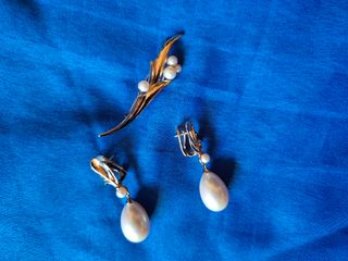 Elegante juego: Pendientes y broche.