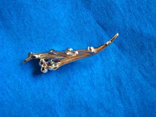 Elegante juego: Pendientes y broche.