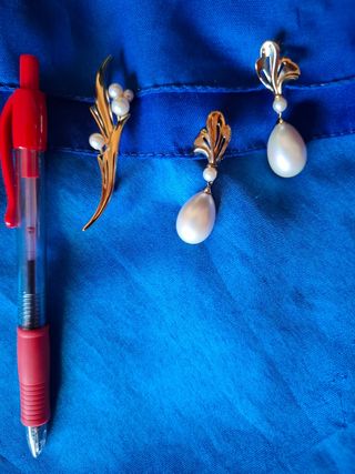 Elegante juego: Pendientes y broche.