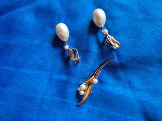 Elegante juego: Pendientes y broche.