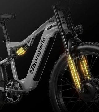Bicicleta eléctrica montaña doble motor