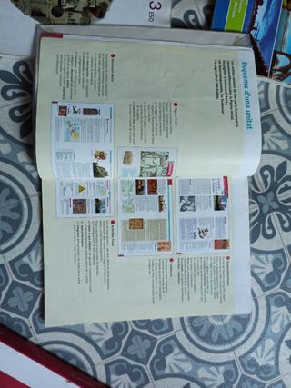 Historia de l'any 1000 a les revolucions