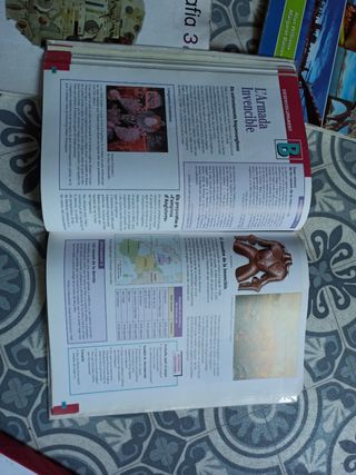 Historia de l'any 1000 a les revolucions