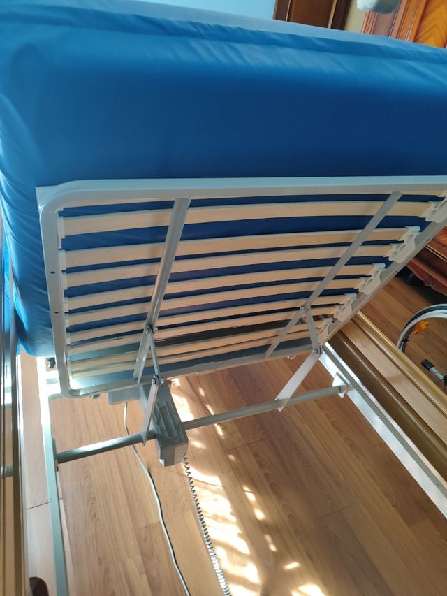 Cama eléctrica articulada