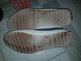 El ganso
