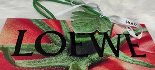 Bolsa y caja LOEWE