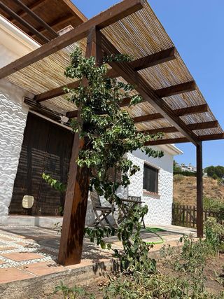 Pérgola cañizo  oferta 6x3 adosada 1950€