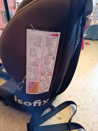 Silla coche niño Penguin isofix