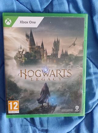 Hogwarts Legacy Xbox One