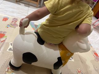 Caballo saltarin infantil