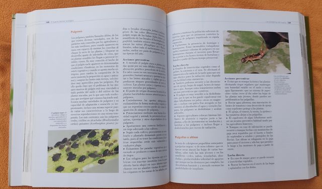 El huerto familiar ecologico (Spanish Edition)