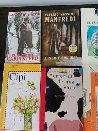 Lote de 15 de literatura infantil y juvenil