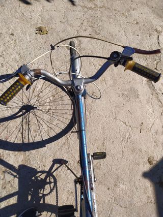 Bicicleta BH Vintage