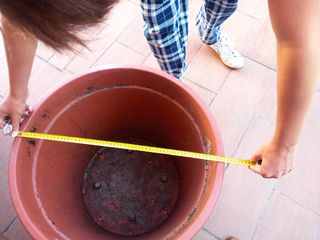 Maceta plastico con plato
