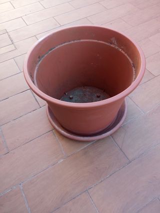 Maceta plastico con plato