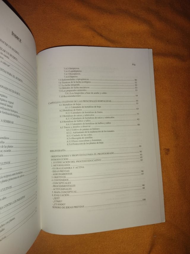 VAMOS A HACER UN HUERTO