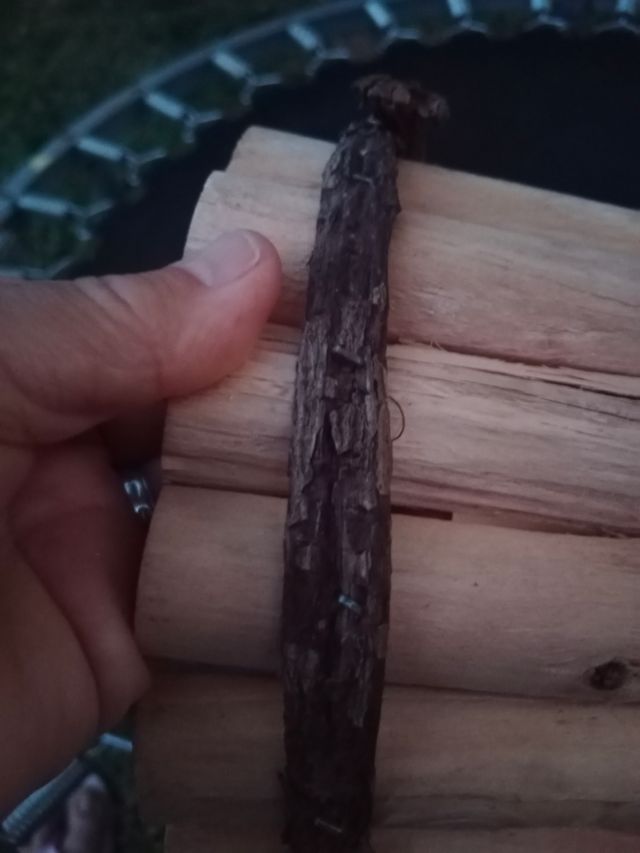 Cesto de madera para plantas