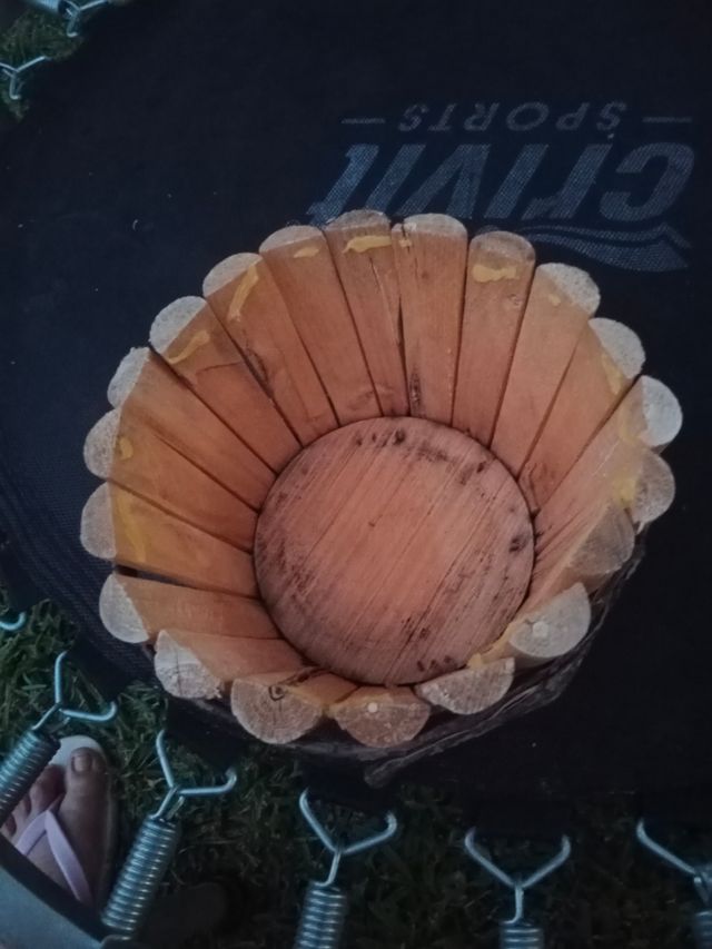 Cesto de madera para plantas