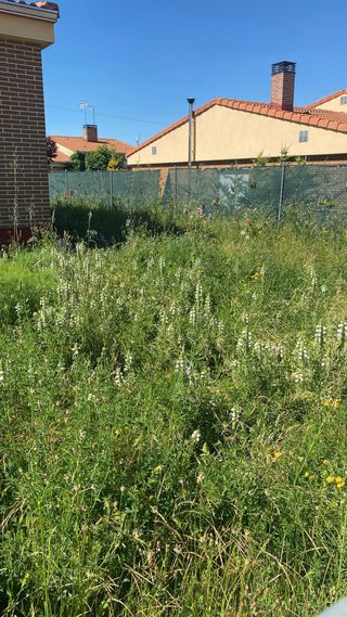 Desbroces de terrenos patios o parcela.